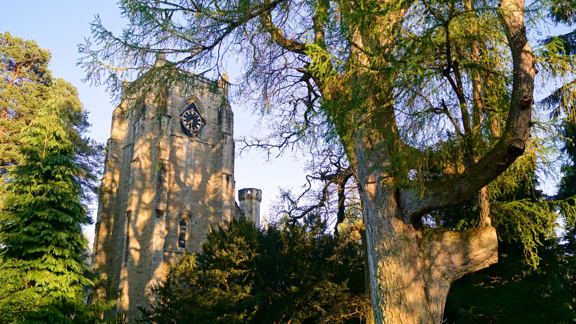 Mellem træerne i Dunkeld besøger vi byens gamle katedral ved bredden af River Tay. Foto Viktors Farmor