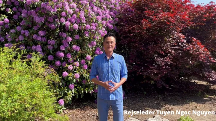 Hør rejseleder Tuyen fortælle om Vietnam i videoen