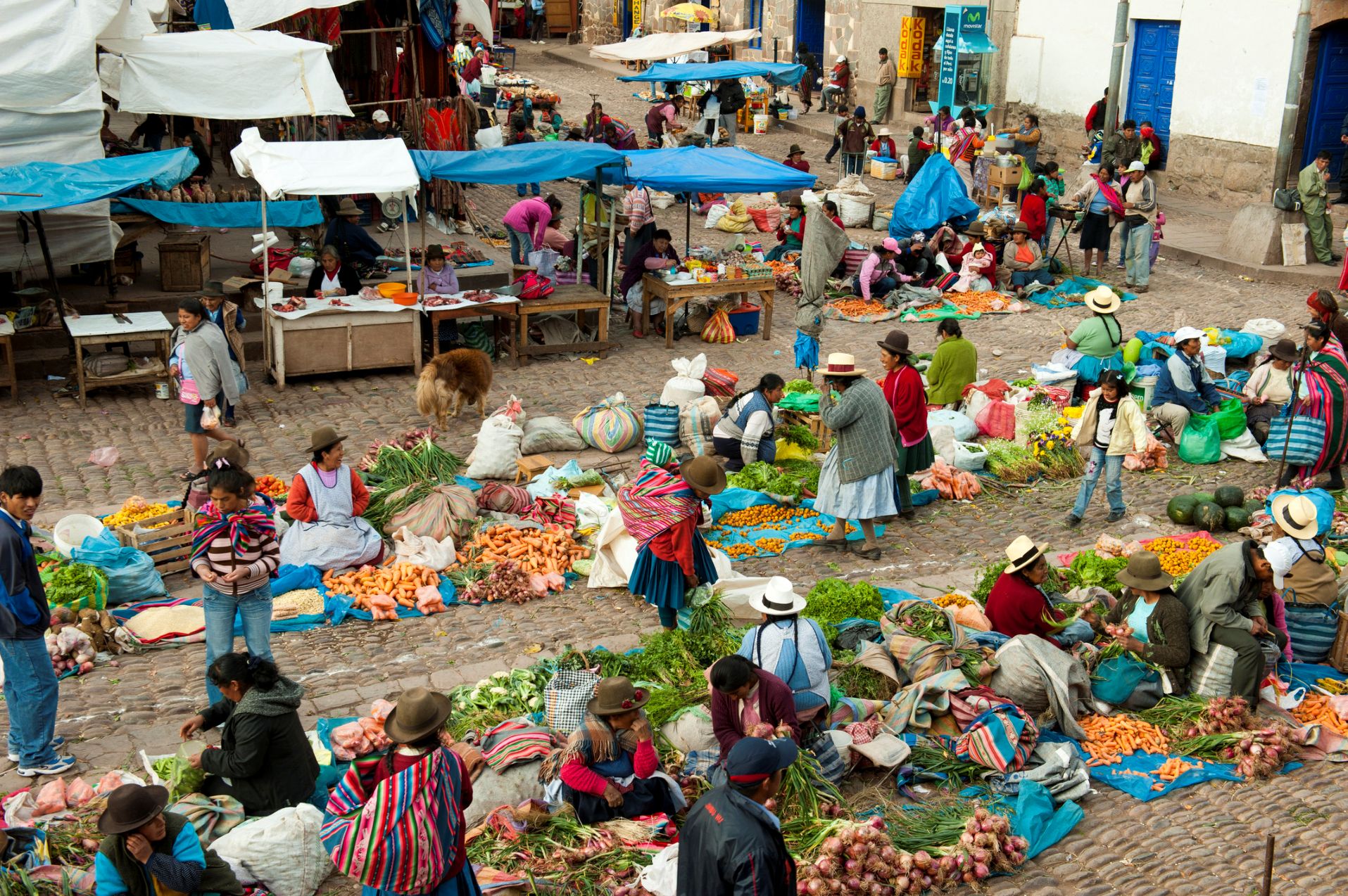 På rejsen oplever vi flere lokale markeder, der bugner af grøntsager og delikatesser. Foto Viktors Farmor
