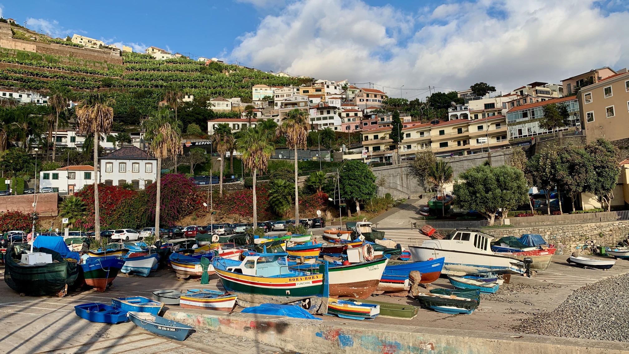 Fiskerlandsbyen Camara de Lobos med farverige både. Foto Anders Stoustrup