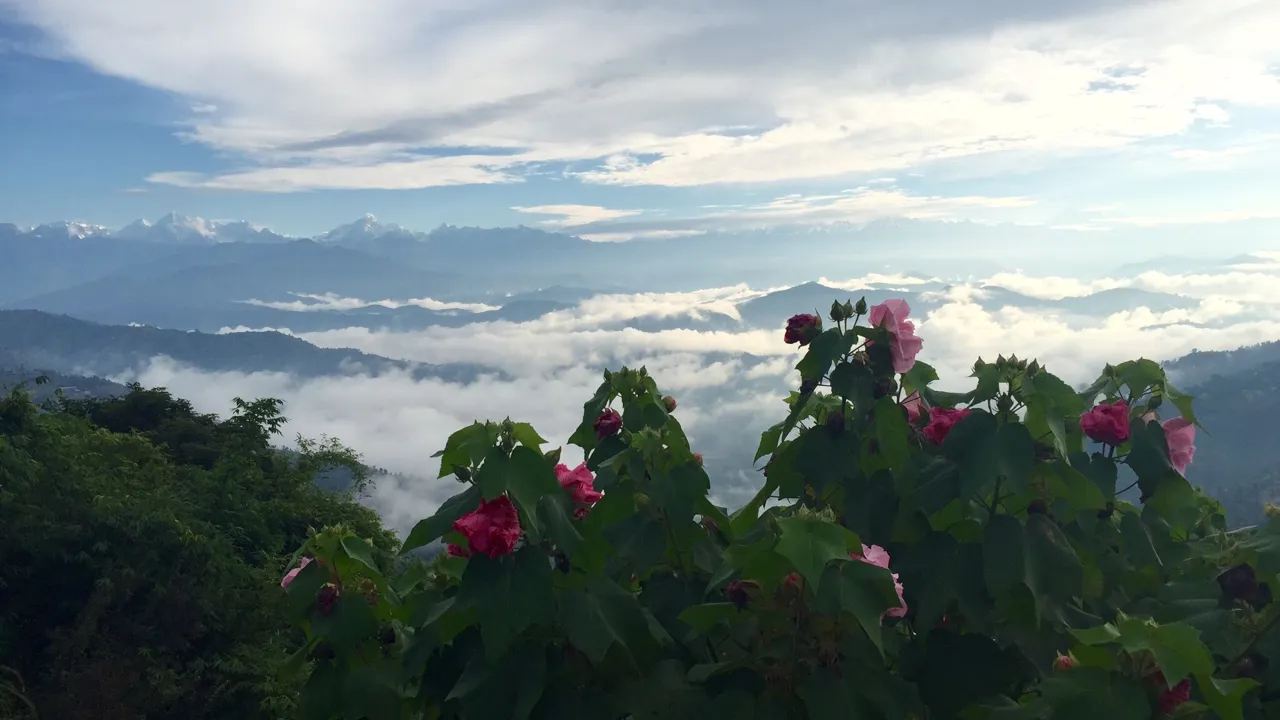 Vi ser bjertoppe lige så langt øjet rækker. Foto Tania Karpatschof