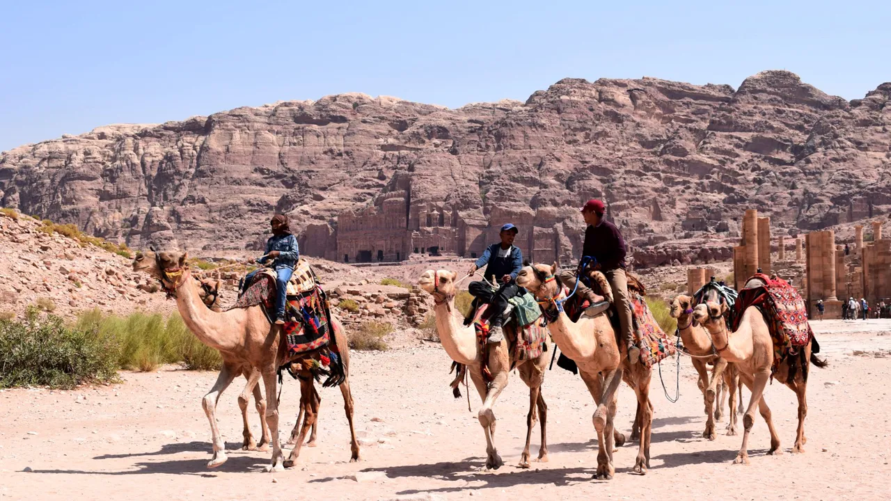 Beduinerne i Petra lever bl.a. af at tilbyde turister ture på dromedarer eller heste. Foto Anne Sophie Meyer Larsen