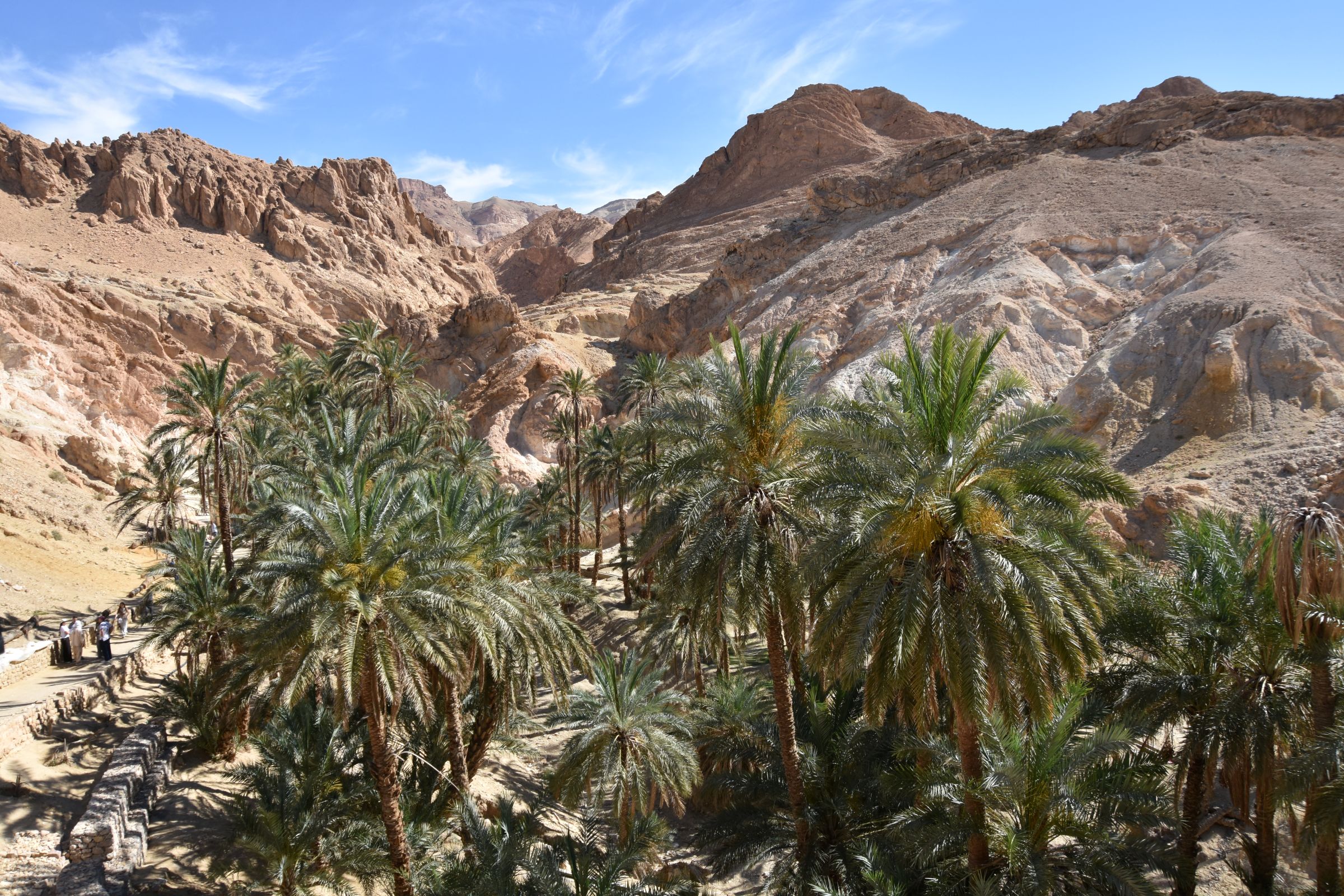 Bjergoaserne og den smukke udsigt oplever vi på turen fra Tozeur. Foto Tom Dalsgaard
