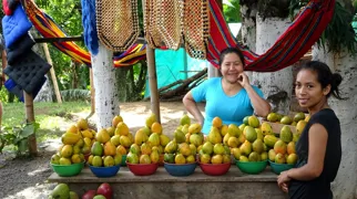 Colombia er et tropisk paradis. Foto Lea Nielsen