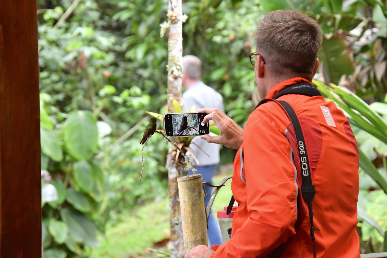 I Ecuador finder man over 130 forskellige kolibri arter. Foto Hanne Christensen