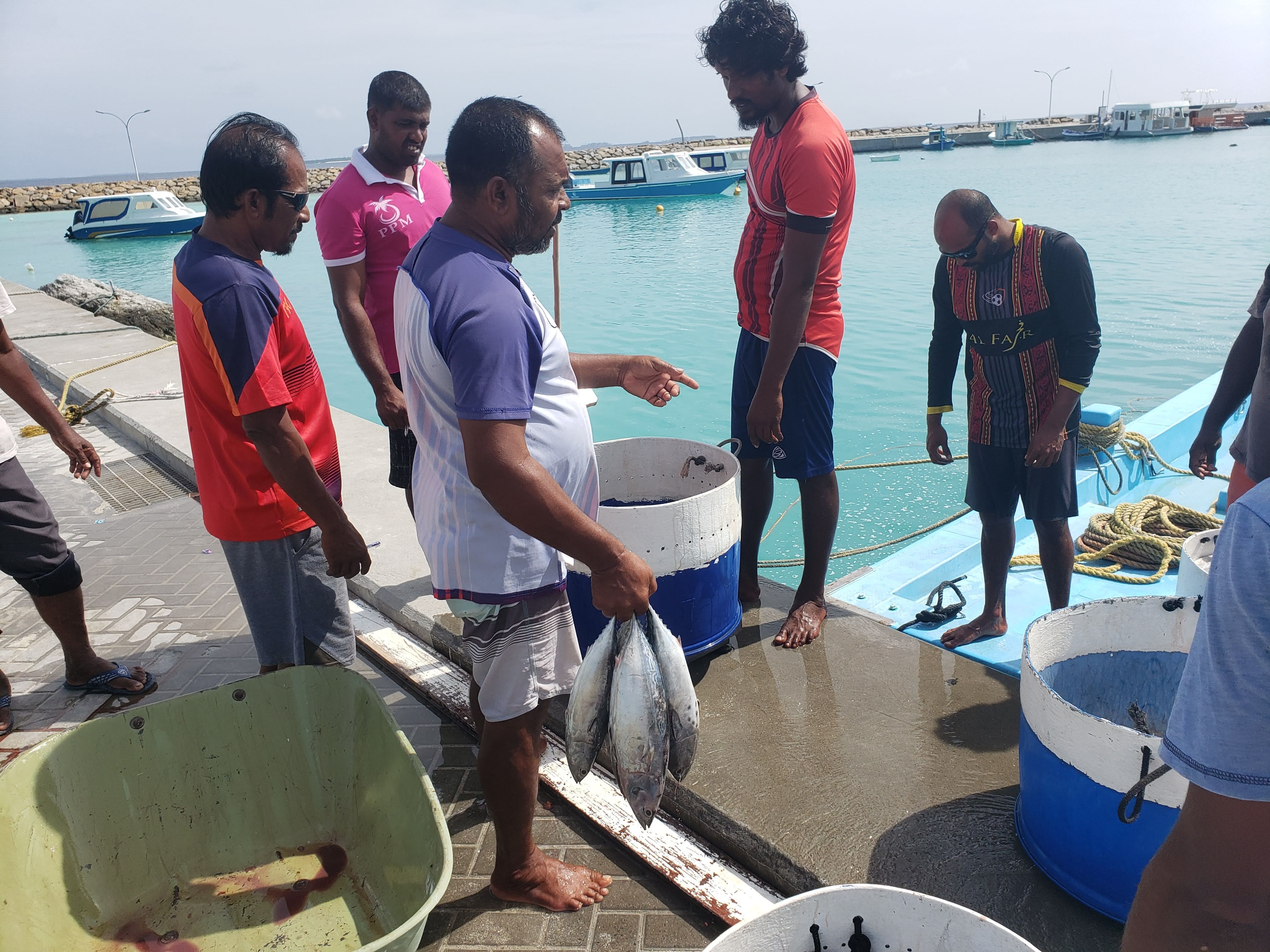 Der fanges og spises mange fisk i Maldiverne. Foto Karsten Bie Jensen