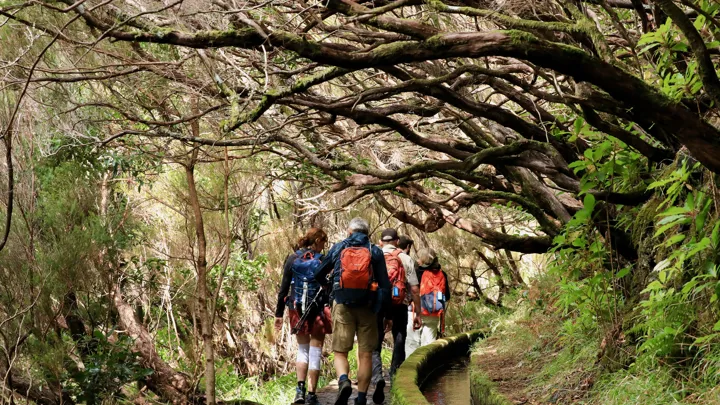 Eventyrlig levadavandring på vej mod 25 Fontes på Madeira. Foto Anders Stoustrup