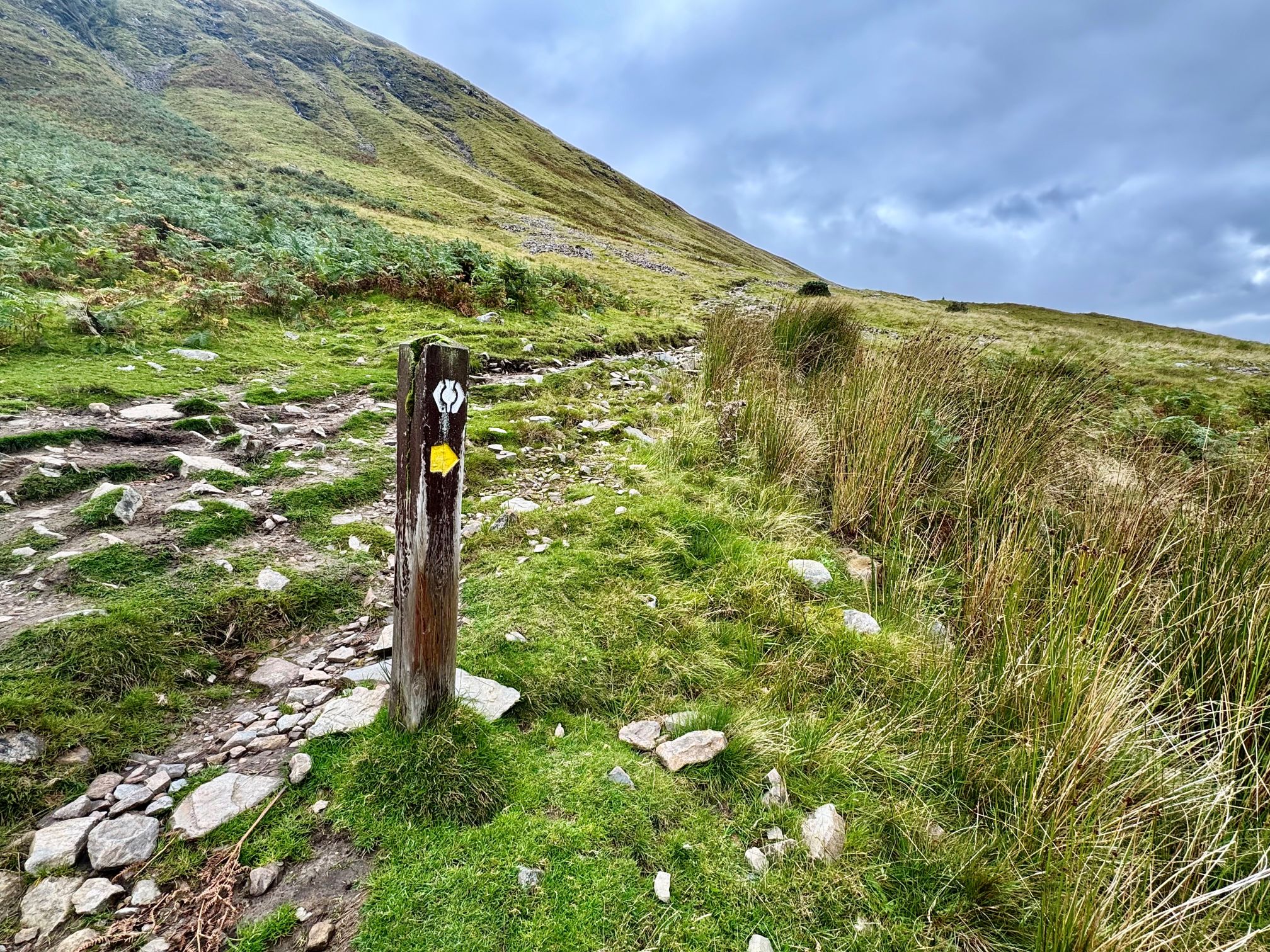 Det velkendte rutemærke følger vandrerne langs West Highland Way. Foto Camilla Kornerup