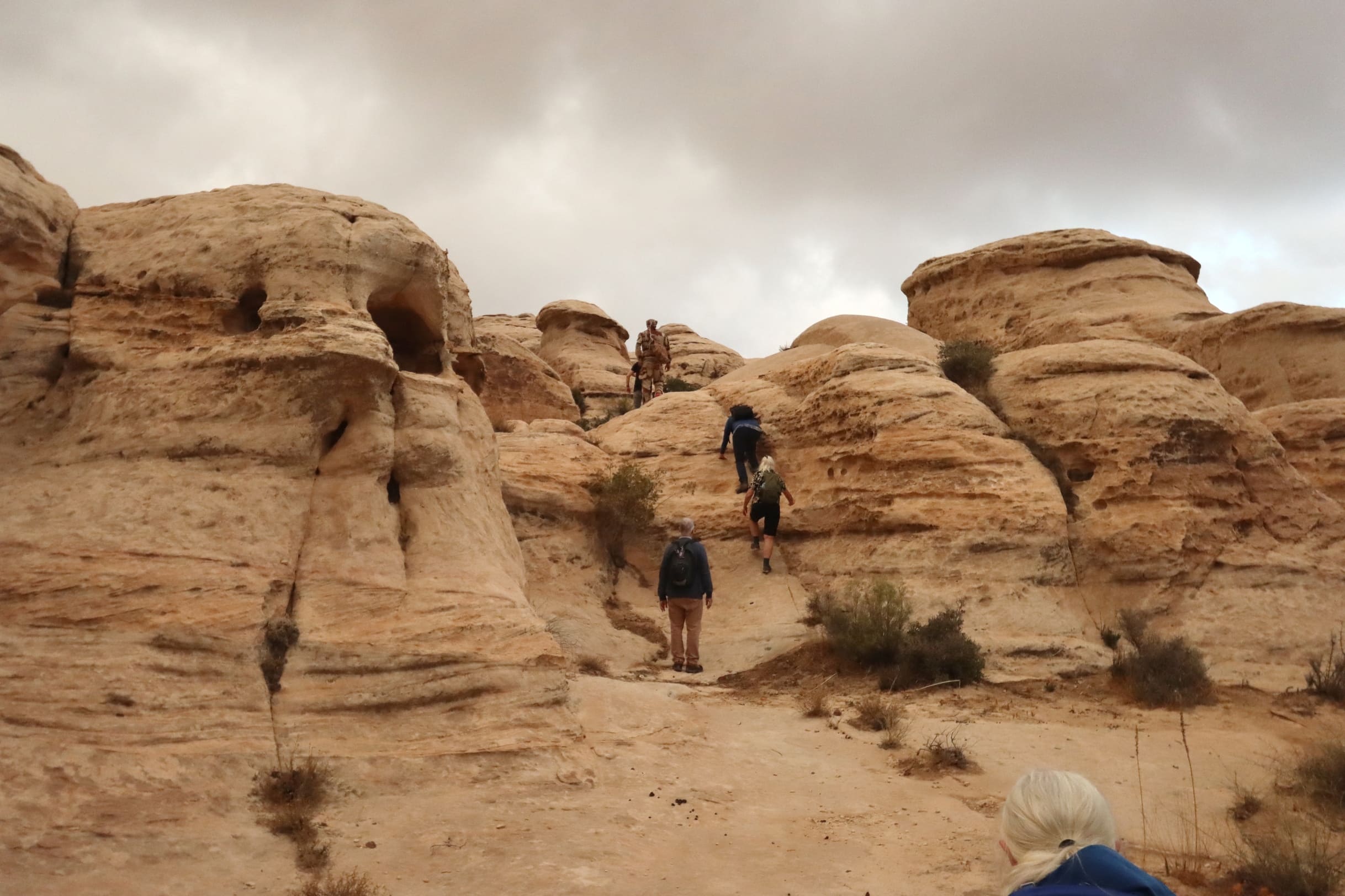 I Dana Naturreservat møder vi også enkelte tekniske udfordringer. Foto Denise Kristensen