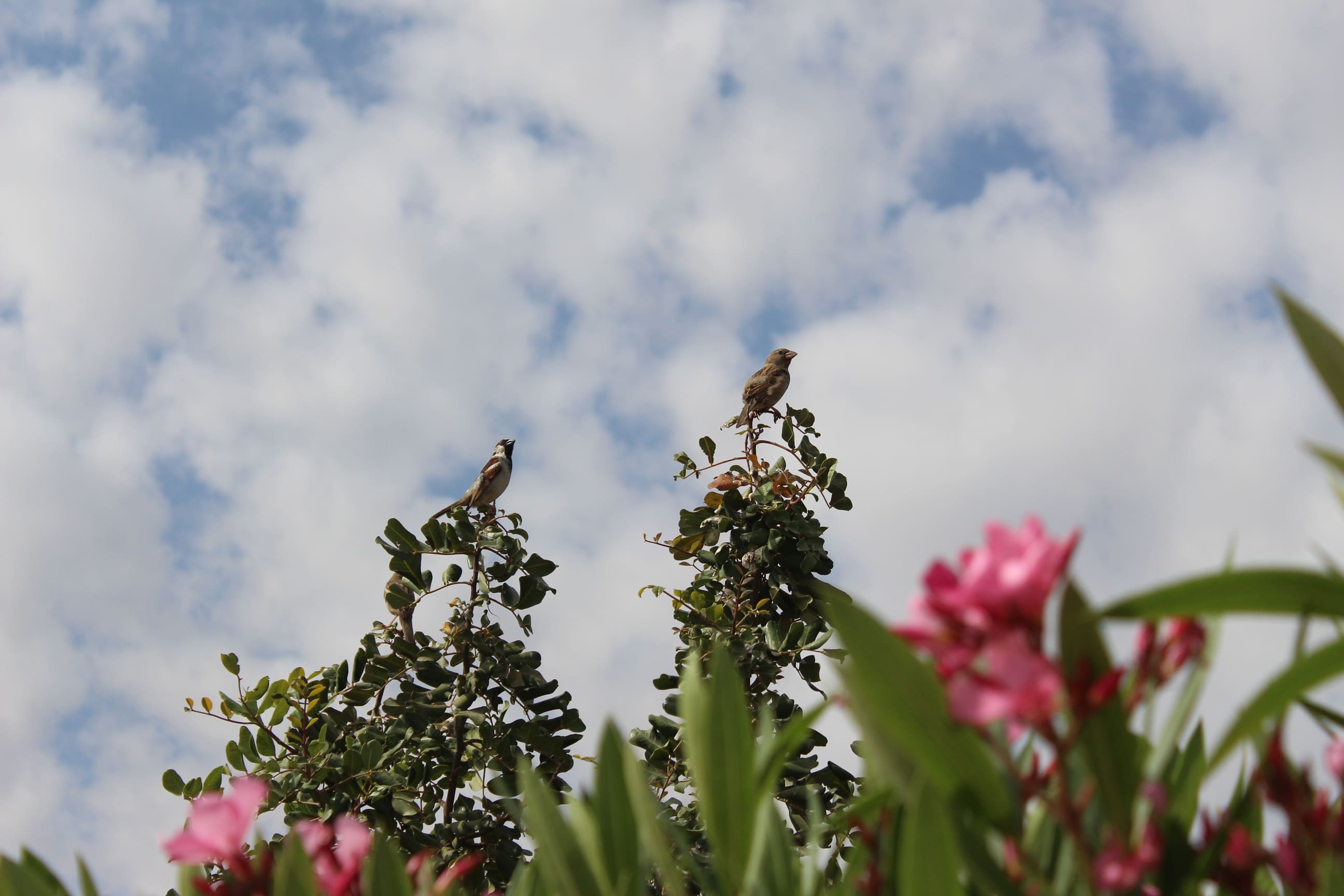 Vi husker at holde øje med fuglelivet når vi vandre. Foto Marlene Tøndering Kristensen