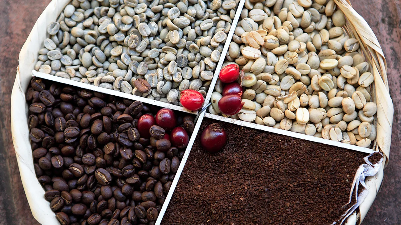 Kaffebønnernes forskellige stadier. Foto Anders Stoustrup