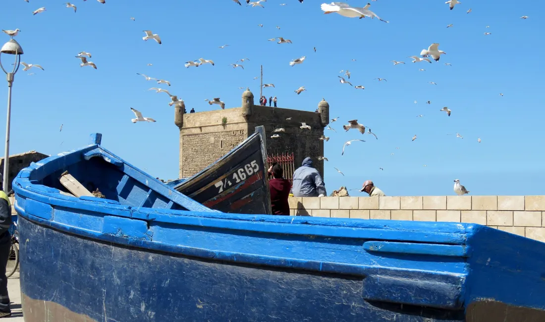 Essaouira er en kystby med et livligt fiskemarked. Foto Kirsten Gynther Holm