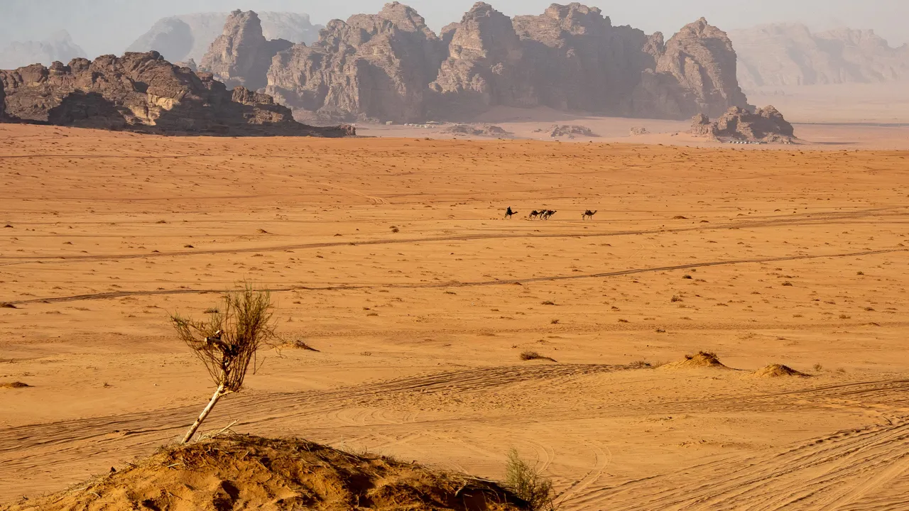 Ørkenen er en helt magisk oplevelse. Foto Kirsten Gynther Holm