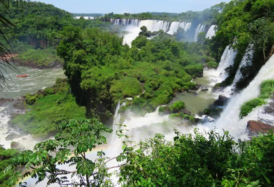 Iguazú består af 270 fald fordelt på tre km - vandfaldene ses her fra den argentinske side. Foto Dorte Rasmussen