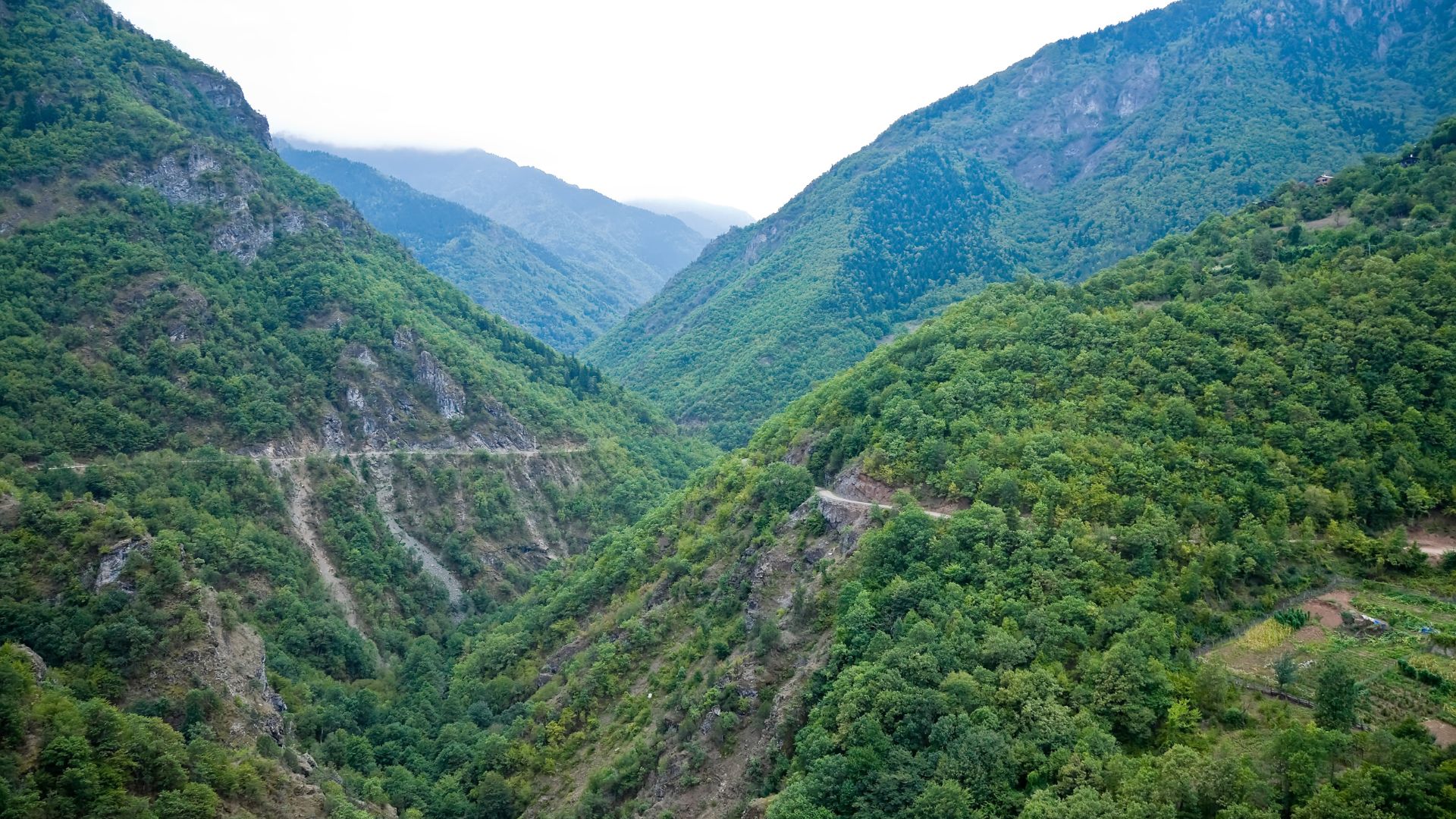 Hatila Valley Nationalpark har en enestående biodiversitet. Foto Viktors Farmor