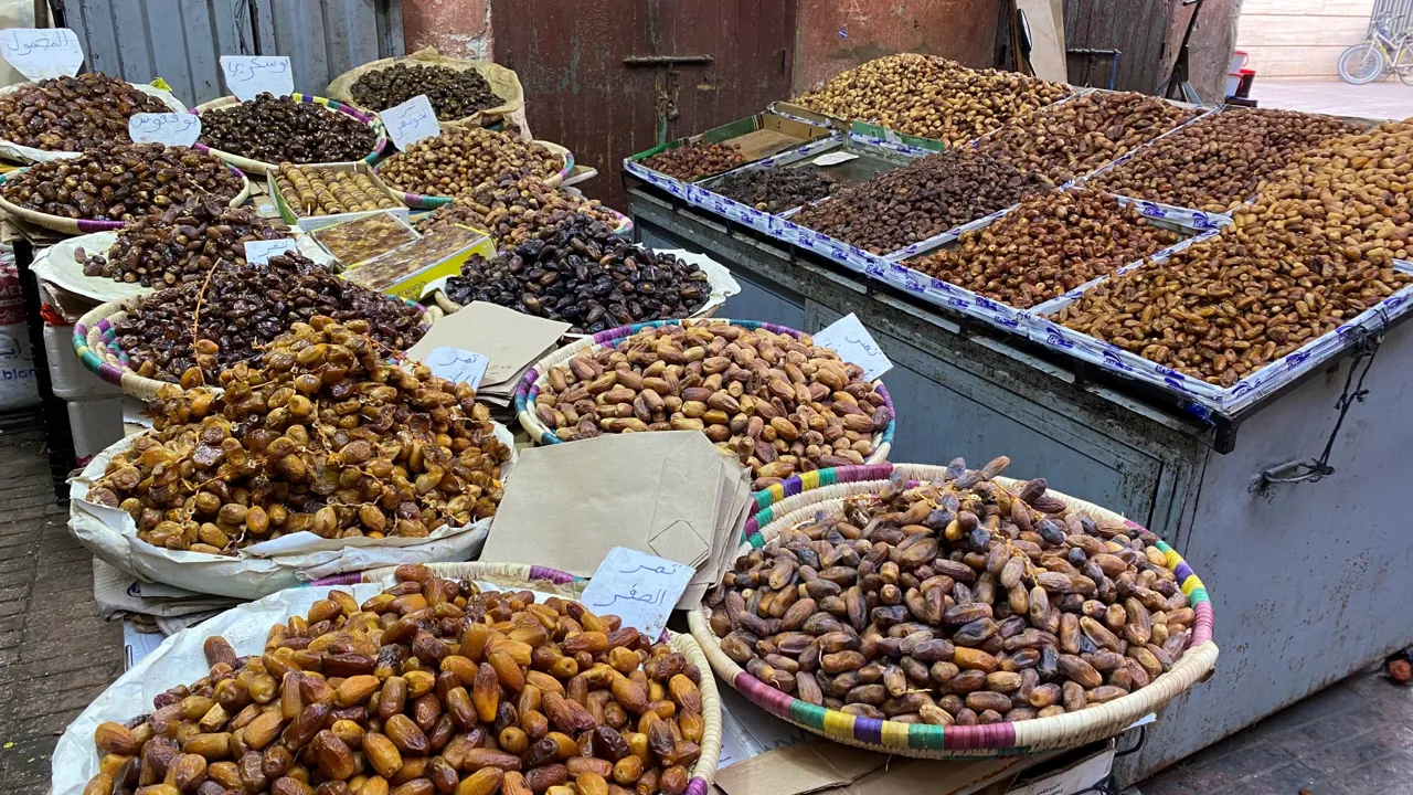 Dadler er en stor del af marokkanernes liv og spise. Der dyrkes over 100 slags dadler i Marokko. Foto Michael Høeg