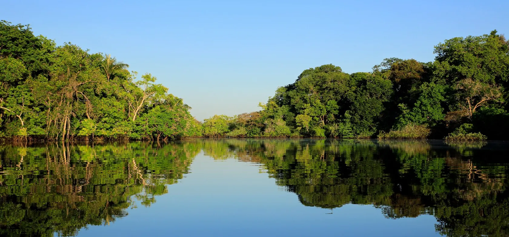 Det føles som et eventyr at tage på ekspedition i verdens største regnskov.