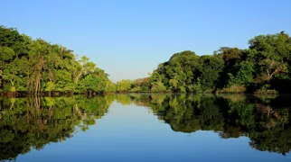 Det føles som et eventyr at tage på ekspedition i verdens største regnskov.