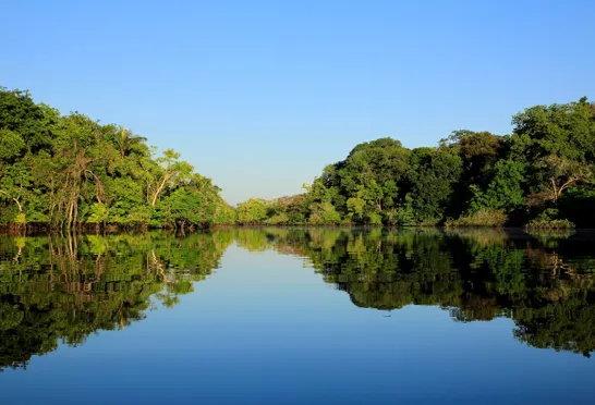 Det føles som et eventyr at tage på ekspedition i verdens største regnskov.
