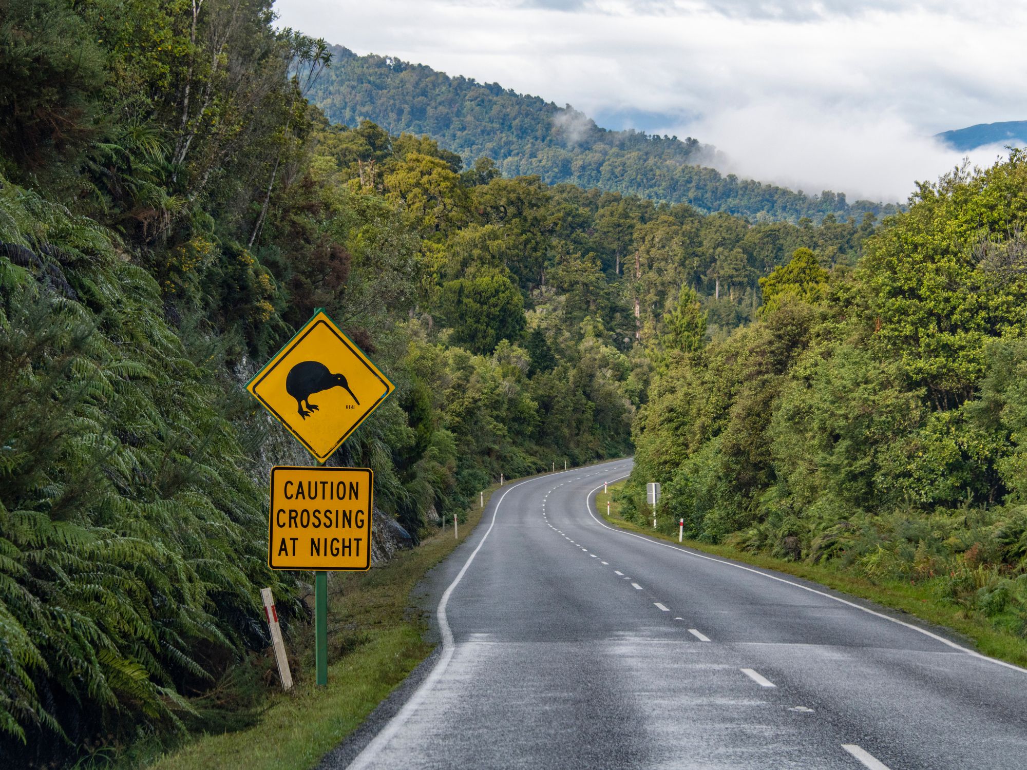 Flotte snoede veje i landskabet. Foto Viktors Farmor