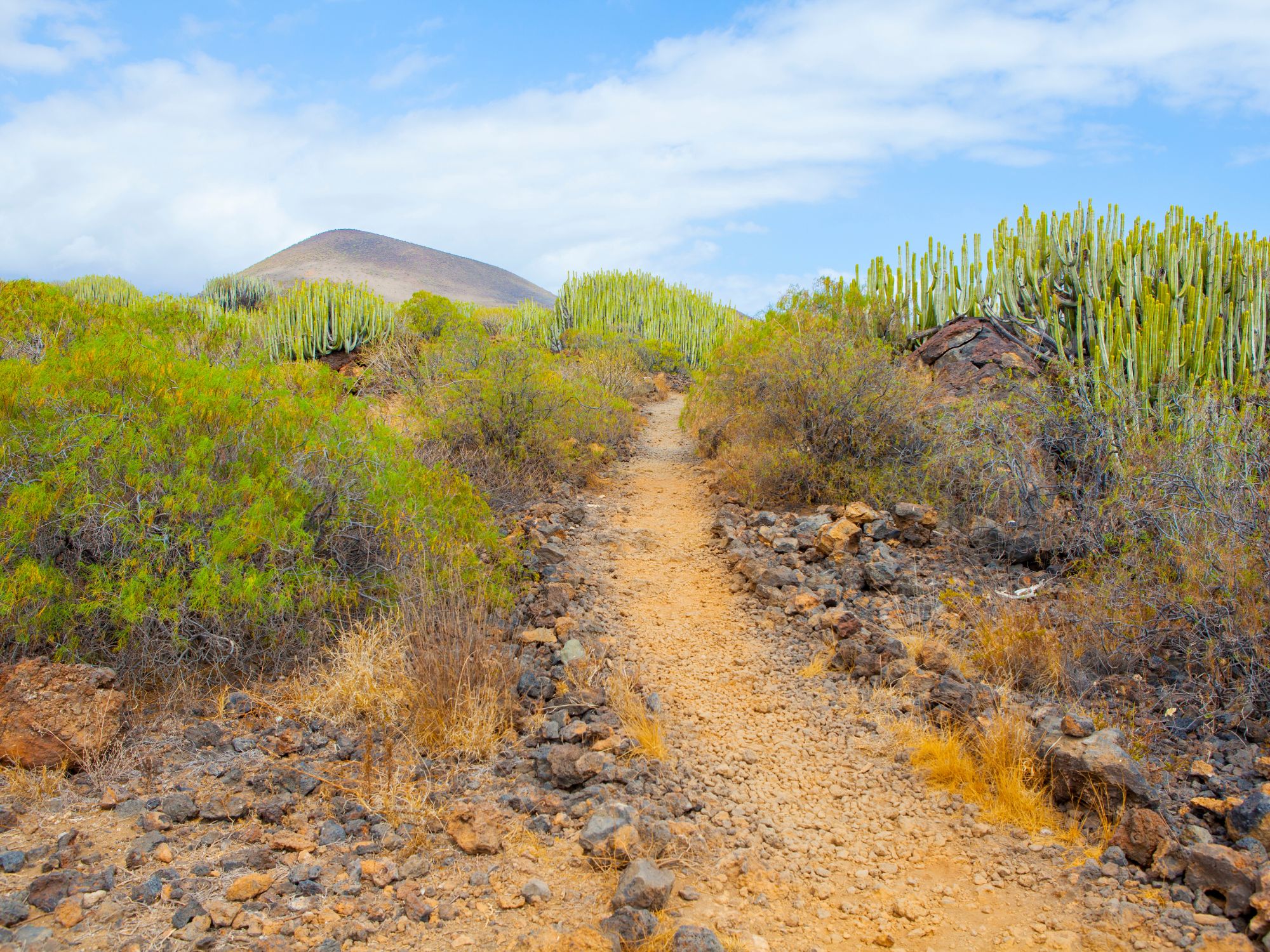 Det forunderlige landskab i Malpaís de Güímar naturreservat. Foto Viktors Farmor