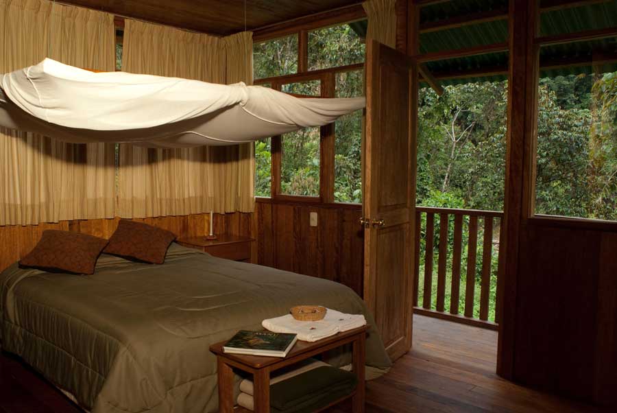 4. cock of the rock lodge, manu