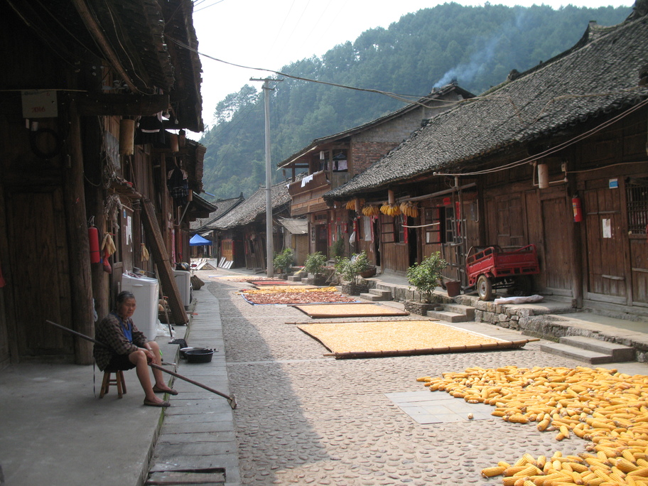 Majs tørres i gaderne i Guizhou. Foto Kirsten Gynther Holm