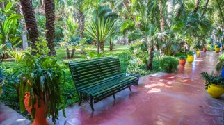 Majorelle haverne i Marrakesh tilhørte modeskaberen Yves Saint Laurent. Foto Viktors Farmor