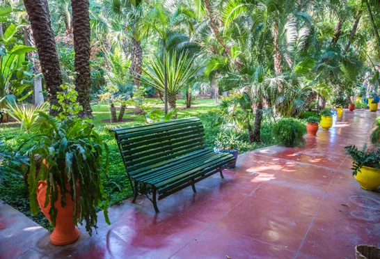Majorelle haverne i Marrakesh tilhørte modeskaberen Yves Saint Laurent. Foto Viktors Farmor