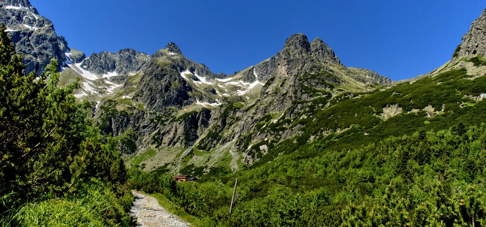 Dybe kløfter skærer sig ind mellem træklædte bjergsider i Tatra-bjergene.