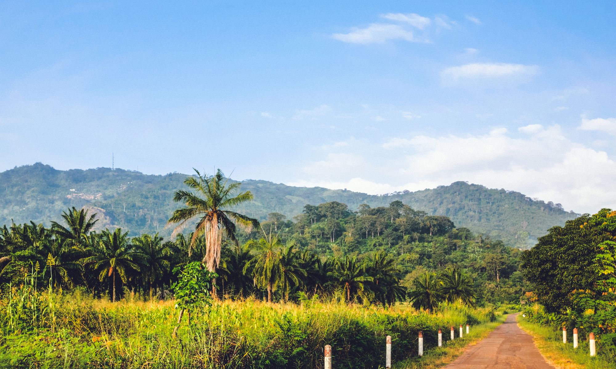 Togo er beliggende i Vestafrika. Foto Viktors Farmor 