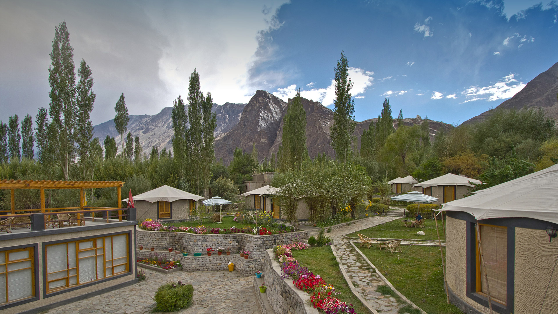 Mystic meadows i nubra dalen