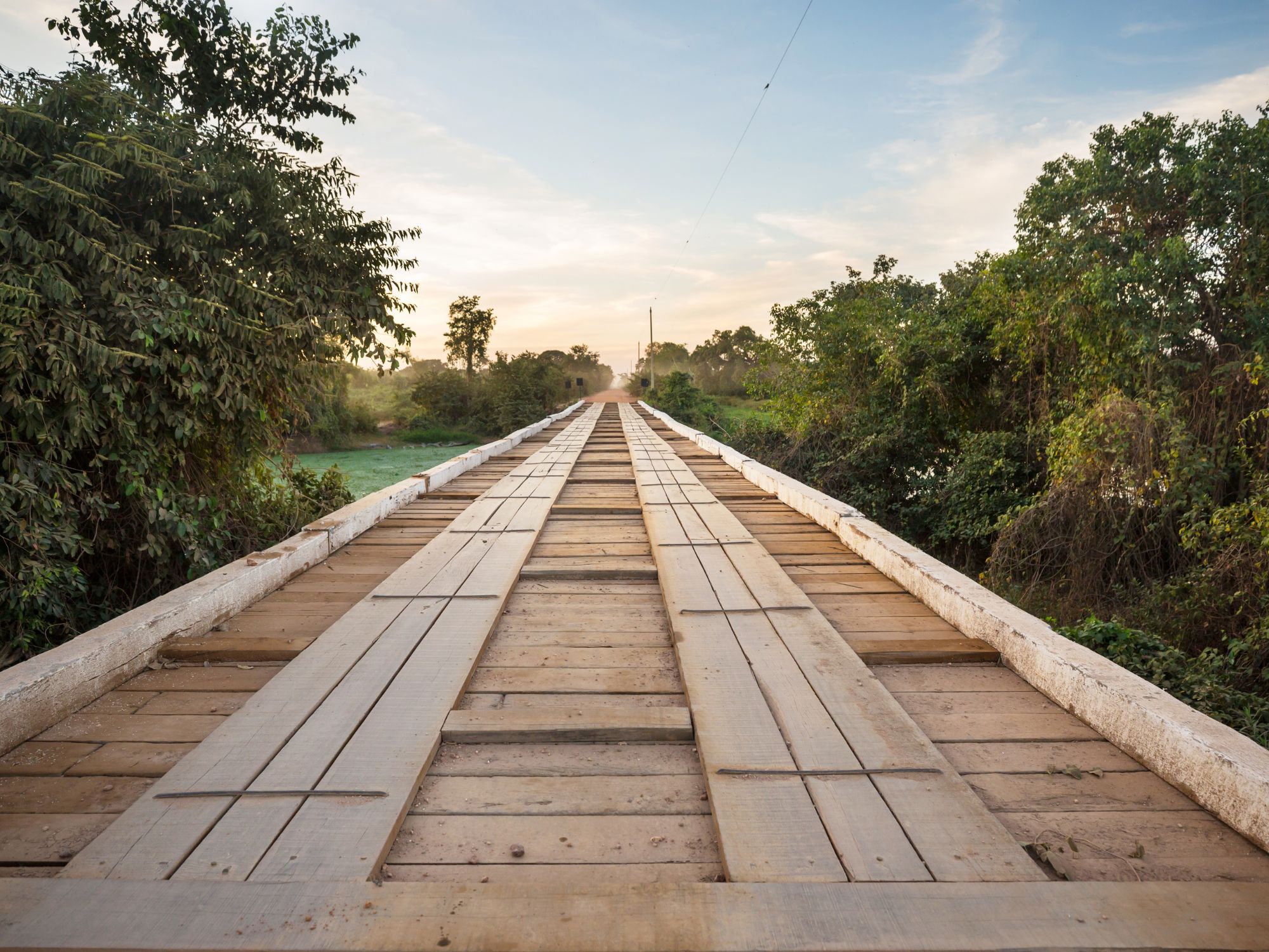Transpantaneira-vejen til det nordlige Pantanal. Foto Viktors Farmor