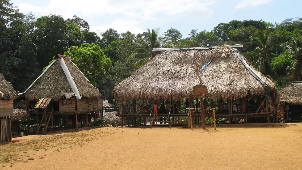 Emberaindianerne bor i pælehytter i regnskoven. Foto Viktor Gynther