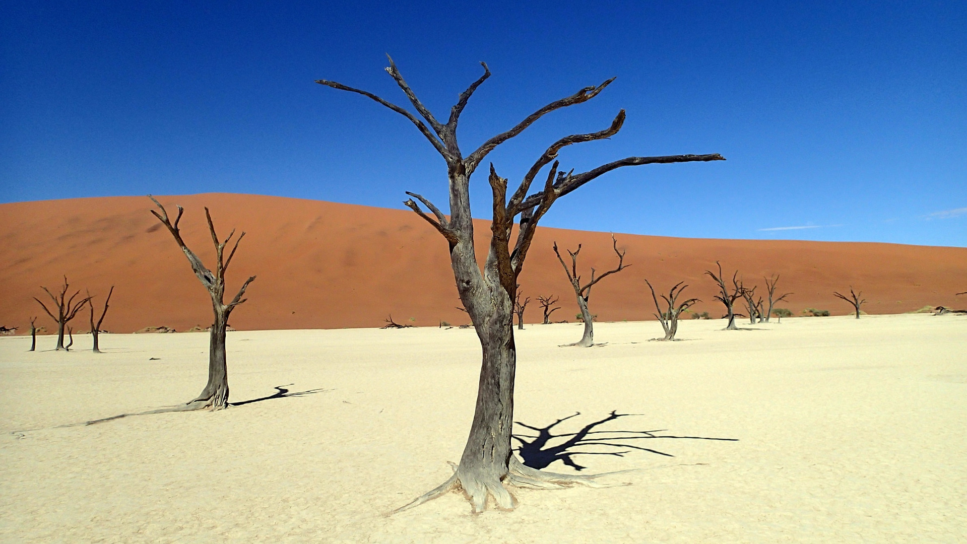 Namibia
