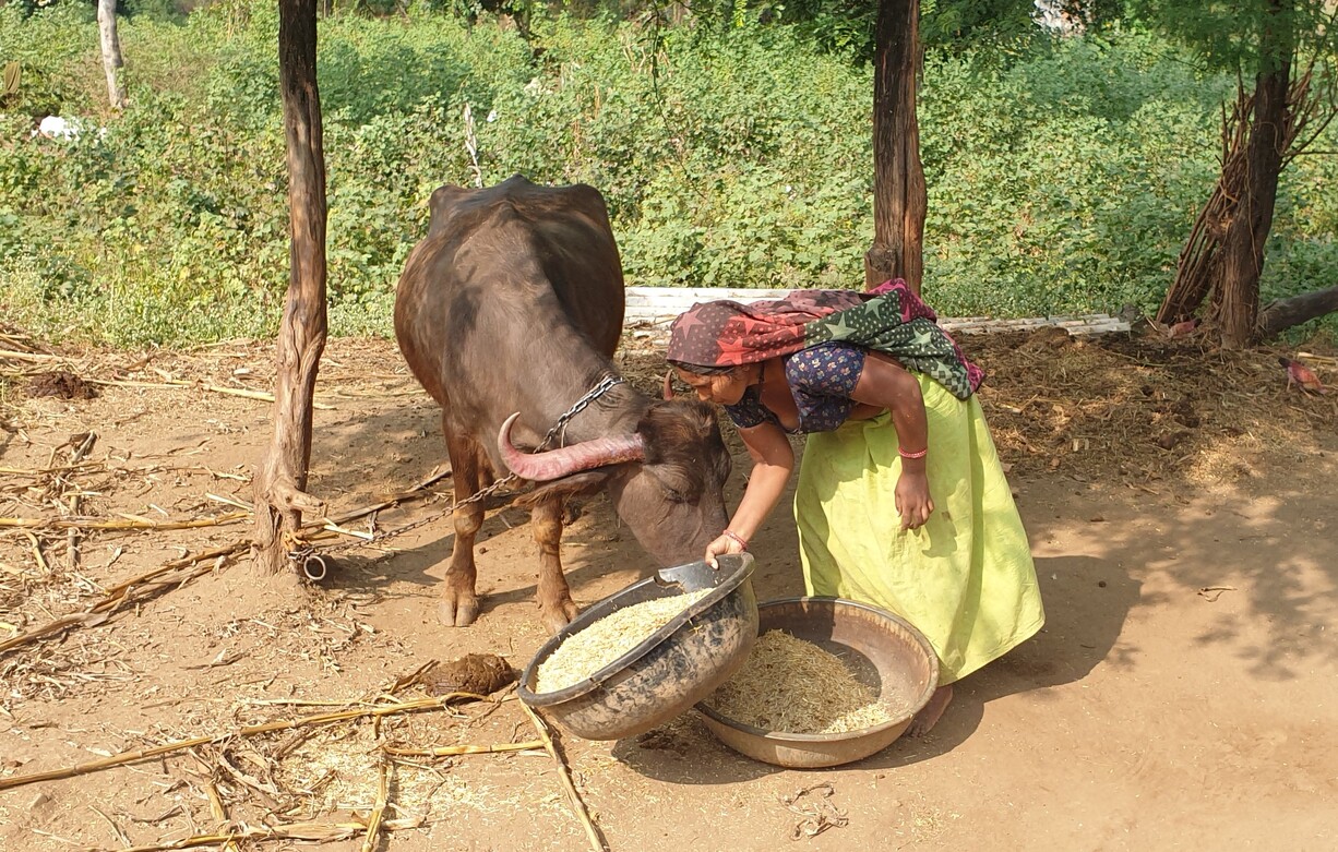 Vi besøger små landsbyer og oplever livet langt ude på landet i Gujarat. Foto af Kirsten Gynther Holm