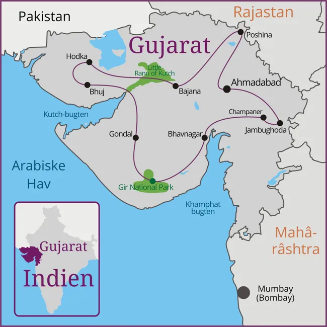 Gujarat - Ahmadabad - Jambughoda - Bhavnagar - Gir National Park - Gondal - Bhuj - Hodka - Rann og Kutch - Bajana  - Ahmadabad