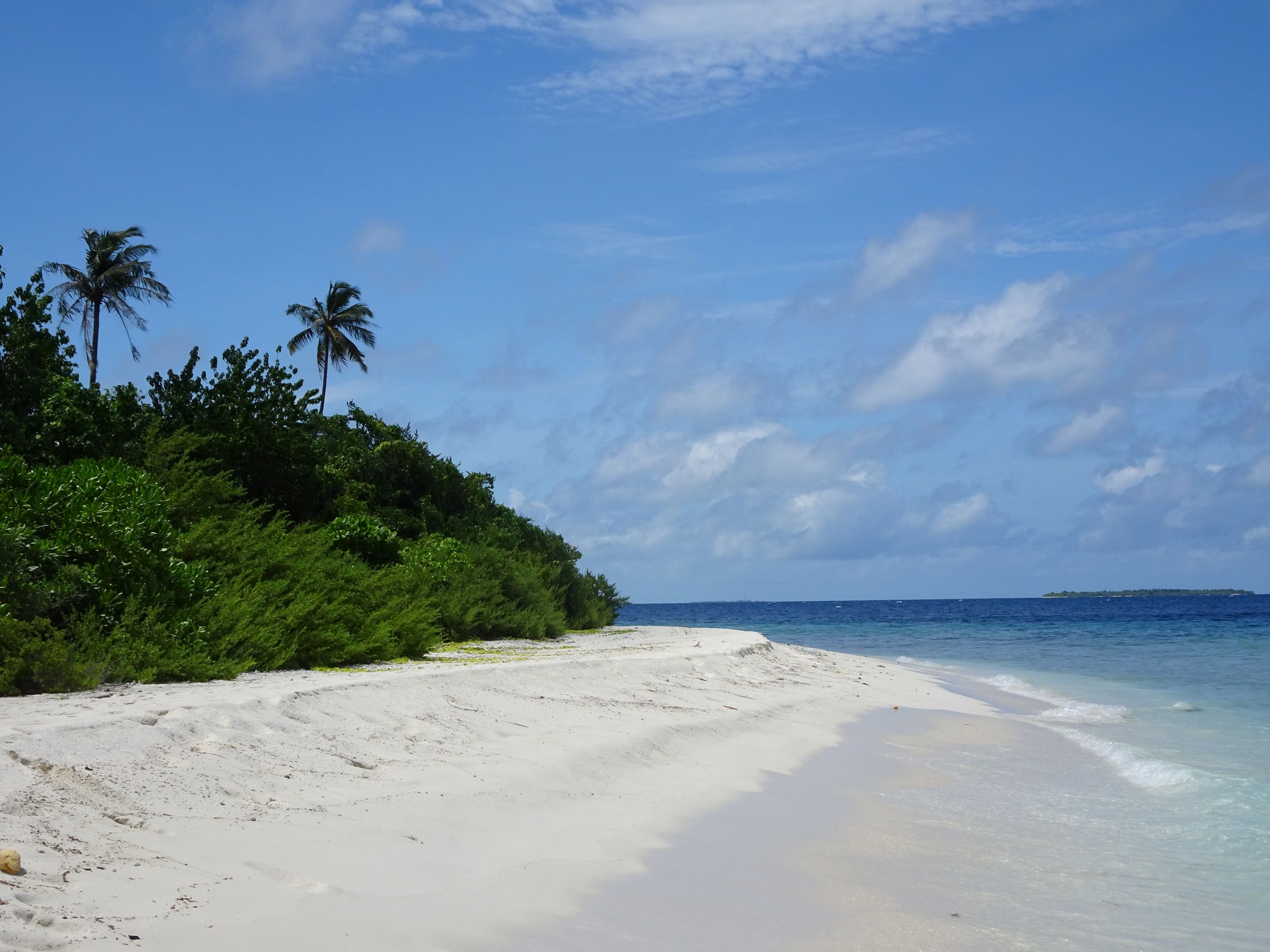 Vi besøger en af Maldivernes mange ubeboede øer. Foto Laura Lyhne Christensen