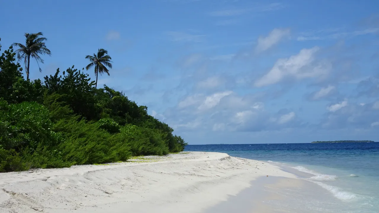 Vi besøger en af Maldivernes mange ubeboede øer. Foto Laura Lyhne Christensen