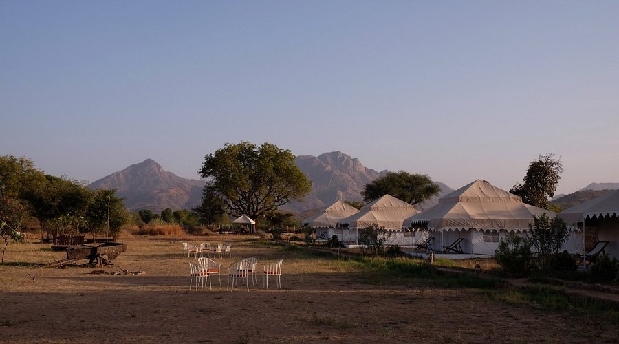 Godwad Safari Camp byder på en autentisk safarioplevelse midt i naturens ro. 