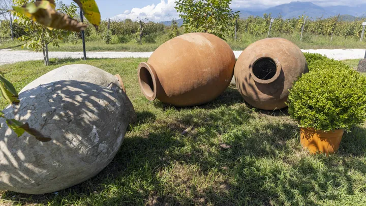Georgiens traditionelle vinfremstilling foregår i de store lerkrukker, qvevri. Foto Inge Lynggaard Hansen