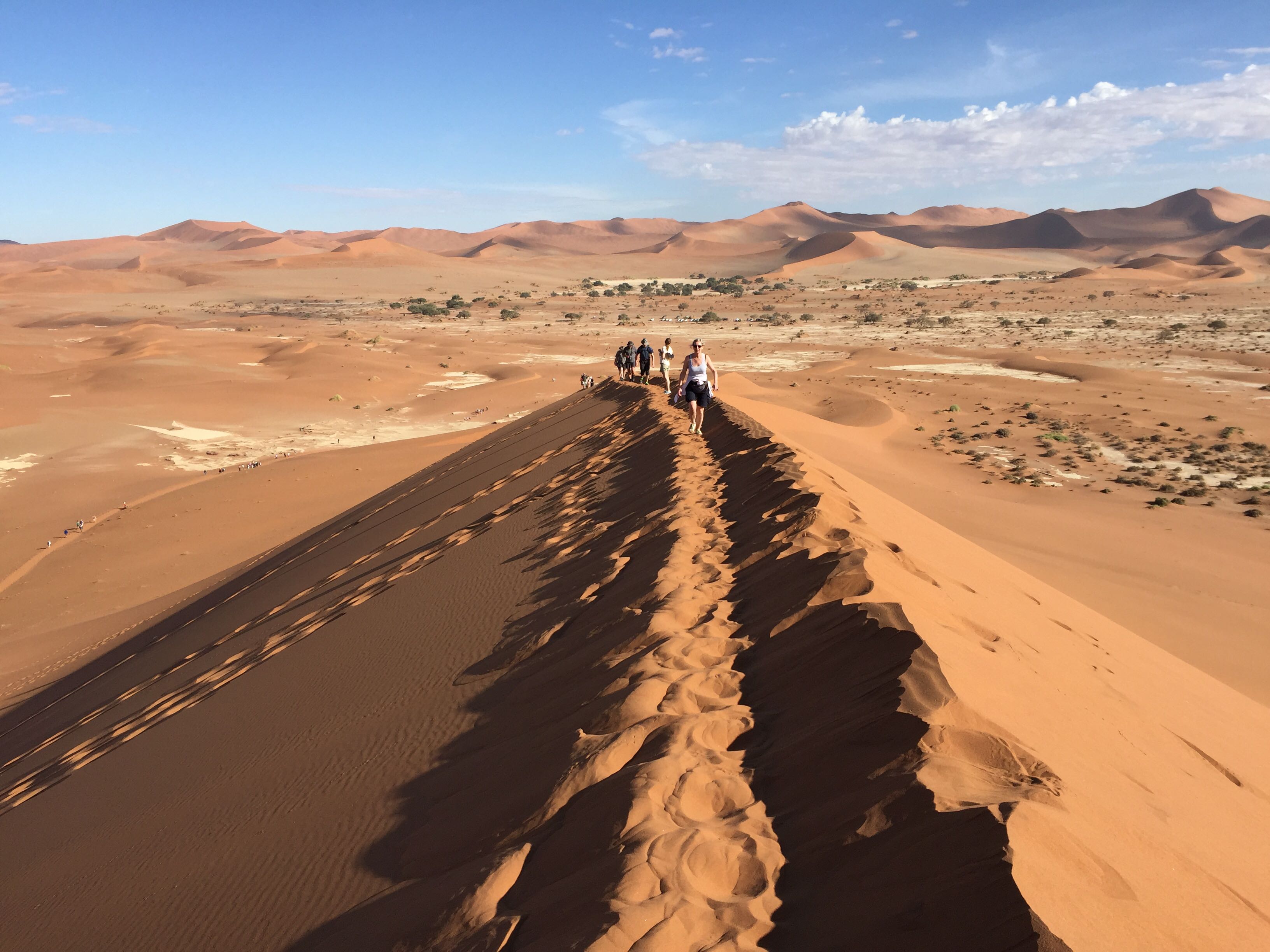 Sossusvlei sandklitterne i Namibia kan blive over 300 meter høje. Foto Mogens Sørensen