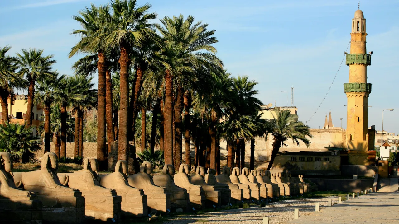 Sfinx alléen ved luxortemplet. Foto af Anders Stoustrup