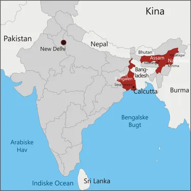 Indien - Calcutta - Serampore - Nagaland - Assam