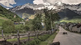 Mestia har over 2.000 indbyggere, og er den vigtigste by i den øverste del af Svanetien-regionen. Karin Reif