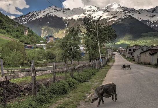Mestia har over 2.000 indbyggere, og er den vigtigste by i den øverste del af Svanetien-regionen. Karin Reif