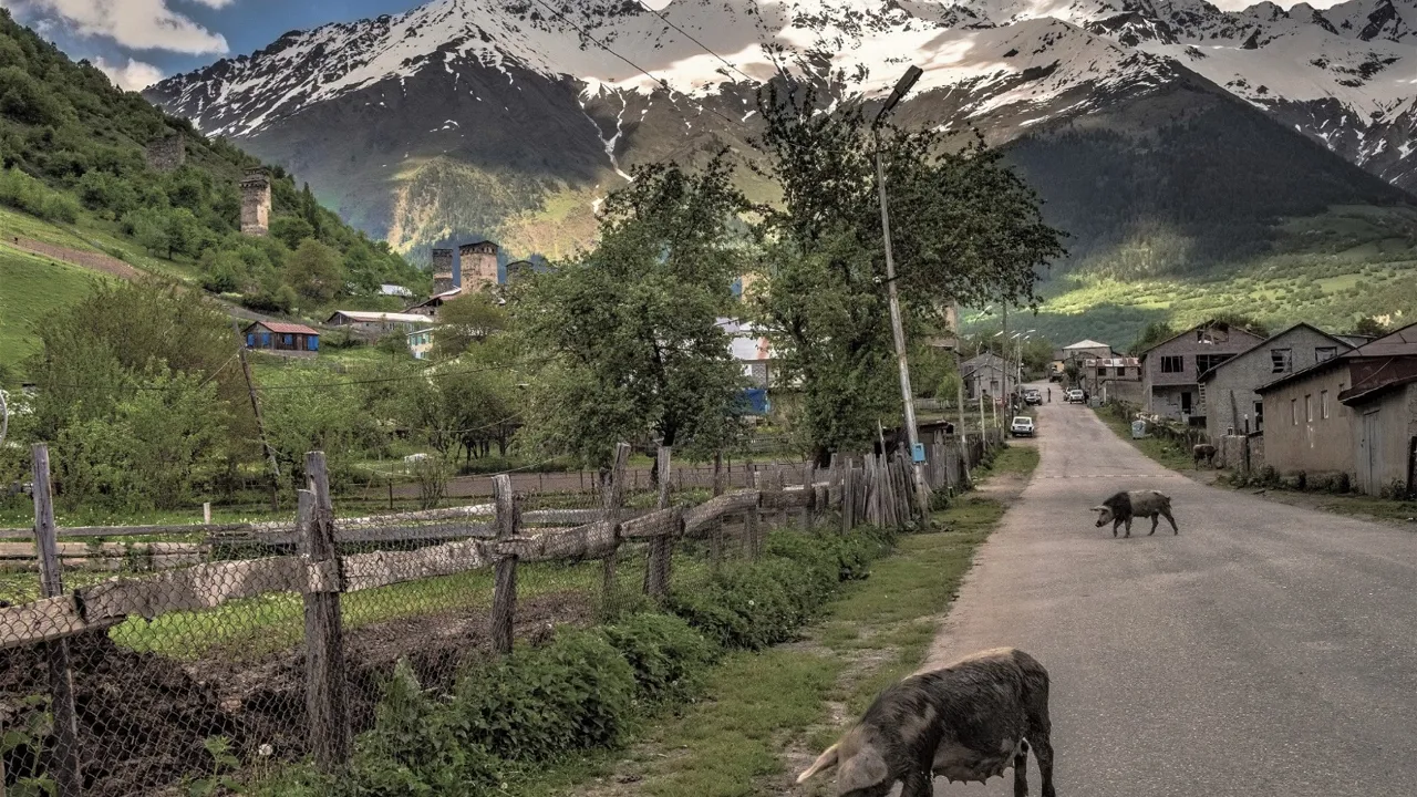 Mestia har over 2.000 indbyggere, og er den vigtigste by i den øverste del af Svanetien-regionen. Karin Reif