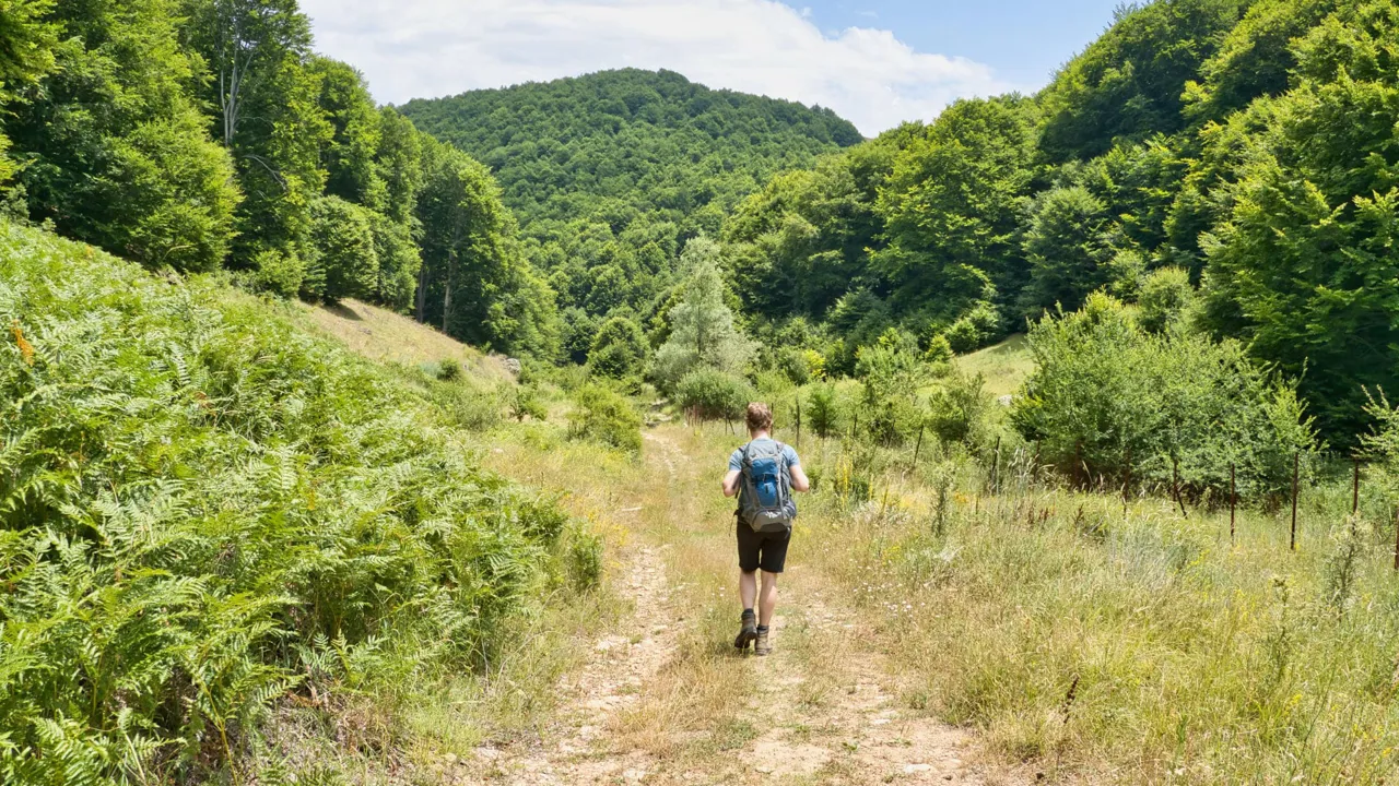 Vi vandre på fredstien mellem Nymfaio og Lechovo omgivet af fortryllende natur. Foto Viktors Farmor