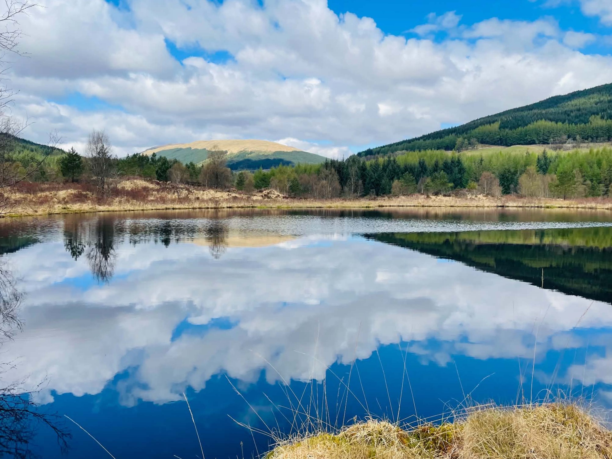 Det skotske højlands landskaber omkring Tyndrum. Foto Maor Shimon