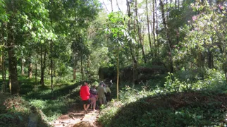 På vandretur i det grønne Costa Rica. Foto Kirsten Gynther Holm